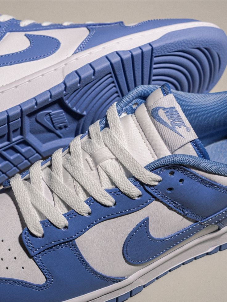 Nike dunk polar blue