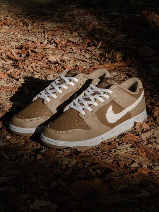 Nike dunk low judge grey