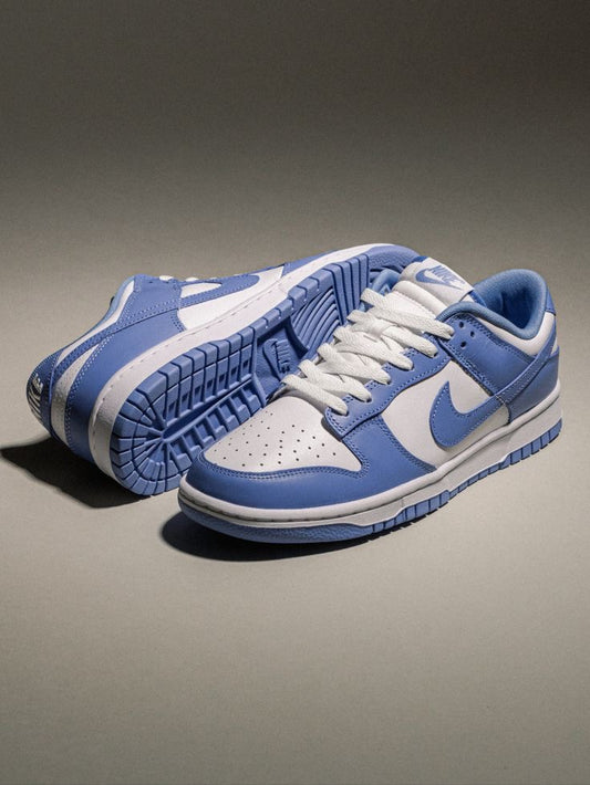 Nike dunk polar blue